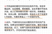 四季樱花的冬季养护之道（细节）