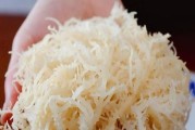 石花菜——一种奇特的植物（探究石花菜的生长环境、特征与分类）