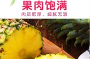 菠萝原产地探秘（寻找菠萝的故乡）