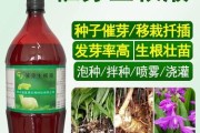 如何正确收集和保存白芨种子（保护珍贵中药资源，从留种子做起）