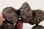 探秘神奇的鬼脸菩提种子为你带来的惊喜（认识鬼脸菩提种子的生命之旅）