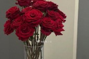 玫瑰花的修剪之道（用一支玫瑰花开启修剪之旅）