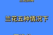 如何快速种植开花的兰花（培育一株健康兰花的关键步骤及技巧）