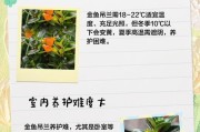 金鱼吊兰花谢了怎么养？（护理技巧分享，让金鱼吊兰重焕生机）