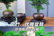 如何修剪云竹叶子黄了的方法（专业技巧让云竹焕发生机）