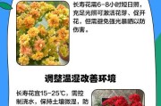 花长得太快的原因及解决方法（探究花长得太快的原因，教你有效控制花的生长速度）