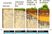 如何增加土壤透气性，提升植物生长效果（-土壤改良、透气性、植物生长）