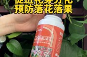 果树落果怎么办？（如何处理果树落果，避免浪费资源？）