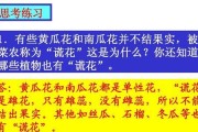解析黄瓜的花性别（单性还是双性，揭开谜底）