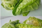包菜的营养与用途（了解包菜的多种好处，让它成为你的健康饮食之选）