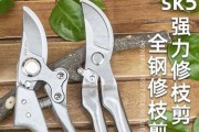 如何修剪花椒树提高产量（掌握这些技巧让花椒树更健康、更多结实）