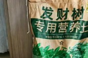 如何为发财树选择合适的土壤（发财树的土壤需求及选择技巧）