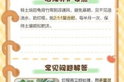 从土培到水培，植物生长新趋势（探索水培技术，提升植物生长质量）