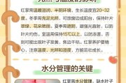 红掌新叶子干枯原因及解决方法（植物生长中常见的问题与解决方案）
