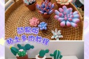 多肉植物养殖指南（从零基础到多肉植物种植的技巧与方法）