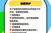 百合花的养护技巧（百合花养护，从栽培到开花不容错过的关键点）