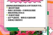 冬季虎刺花养护指南（室内虎刺花的冬季养护技巧）
