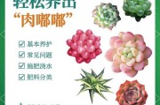 多肉植物虾钳养护指南（打造健康多肉家园，让虾钳绽放迷人魅力）