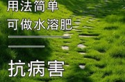 复合肥适合多肉种植吗？（探讨复合肥在多肉种植中的应用）