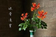 凌霄的修剪方法（让凌霄更加优美的修剪技巧）