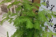 珊瑚棒红花的养殖与护理（如何让你的珊瑚棒红花长势旺盛）