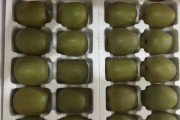 红心猕猴桃成熟时间剖析（红心猕猴桃成熟期、生长周期、采摘技巧）