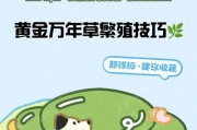 黄金万年草幼苗的养护指南（打造健康繁茂的黄金万年草家园）