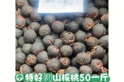 山核桃的生长和成熟过程（关注山核桃，了解这个营养丰富的果品）