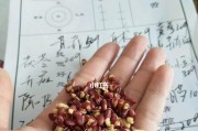 红小豆的种植过程（几天出苗到发芽出苗时间及注意事项）