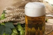 龙须树浇啤酒？了解一下正确方法！（科学的方法让龙须树与啤酒水相得益彰）