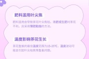 山茶花为何会落叶？（探究山茶花落叶的原因及其影响）