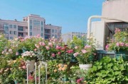 河水浇花，是一种好方法吗？（绿色生活，如何合理利用河水）