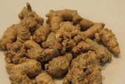 探究田七的生长环境及特点（田七的种植要求、生长特性、药用价值及栽培技巧）