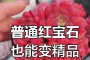 红宝石多肉为何不长？（探究红宝石多肉生长困境的原因与解决方法）