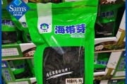 揭秘螺旋藻的身世与功效（螺旋藻到底是裙带菜吗？它的功效有哪些？）