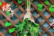 种植艾草，让院子更健康（打造私家药园，尽享艾草的好处）