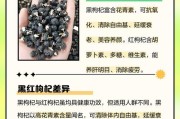 黑枸杞上市时间及成熟季节（探寻黑枸杞的生长规律和营养价值）