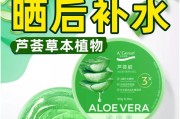 芦荟的神奇用途（发掘芦荟的健康价值，打造美丽肌肤）