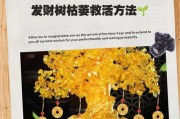 发财树杆软出水怎么办？探讨有效方法与护理技巧（解决发财树树杆软出水问题，让您的植物重焕生机）