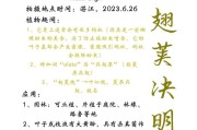 决明子开花结果全过程详解（揭开决明子神秘面纱，探究其开花结果全过程）