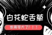 了解龙舌草——探秘另一种名字（了解龙舌草的分布、特性与应用）