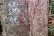 红花继木修剪最佳时间（了解继木修剪的重要性和正确时间点，让红花继木更健康茁壮）