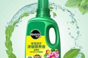 绿萝底肥的施用方法和肥料选择（选择适宜的肥料，轻松打造健康的绿萝家园）