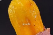 如何让红薯过一个温暖的冬天（实用技巧助你顺利收获红薯）