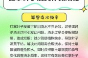 红掌叶片出现黄色斑点的原因及处理方法（探究红掌叶片黄斑的成因与治理）