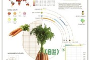 胡萝卜种植与收获时间详解（合理把握时间，收获丰硕果实）