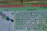 核桃繁殖方法和注意事项（成功繁殖核桃的关键是什么？）