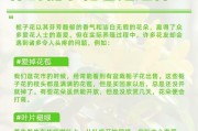 春天栀子花叶子发黄的原因及解决方法（解析春天栀子花叶子发黄的可能原因，提供有效的解决方法）