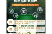 果树的最佳肥料选择（如何为果树选择最适宜的肥料？）