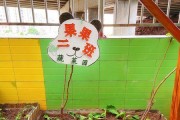 金边吊兰种子的种植方法（从选购到种植，轻松打造美丽悬挂花园）